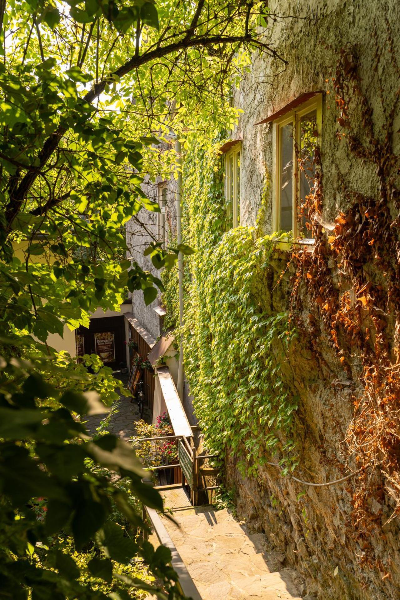 Penzion Prijemny Oddych Banská Štiavnica Dış mekan fotoğraf